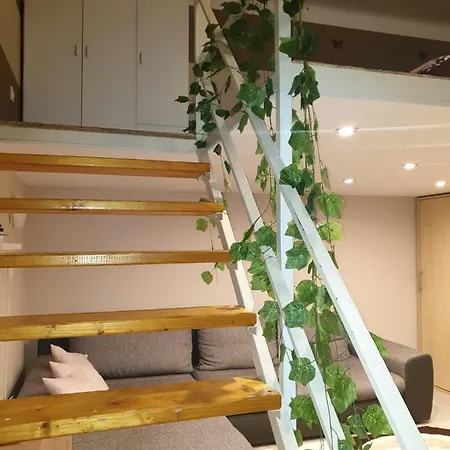 Apartment In Downtown *