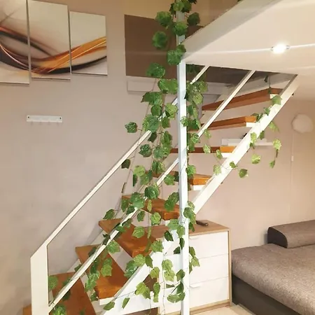 In Downtown Apartment *