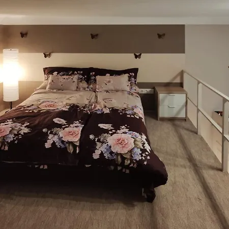 In Downtown * בודפשט